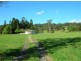 82 Davis Road, Jiggi NSW 2480