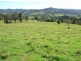 82 Davis Road, Jiggi NSW 2480