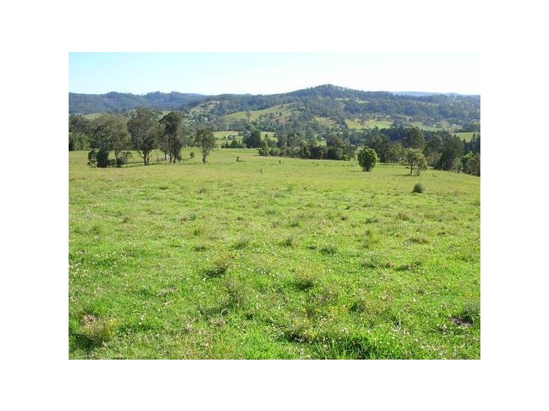 82 Davis Road, Jiggi NSW 2480