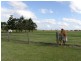 1095 Rogerson Road, Mckees Hill NSW 2480