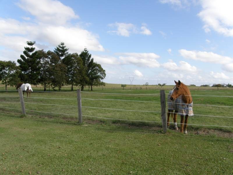 1095 Rogerson Road, Mckees Hill NSW 2480
