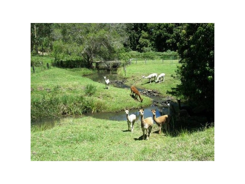 120 Mclennan Road, Georgica NSW 2480