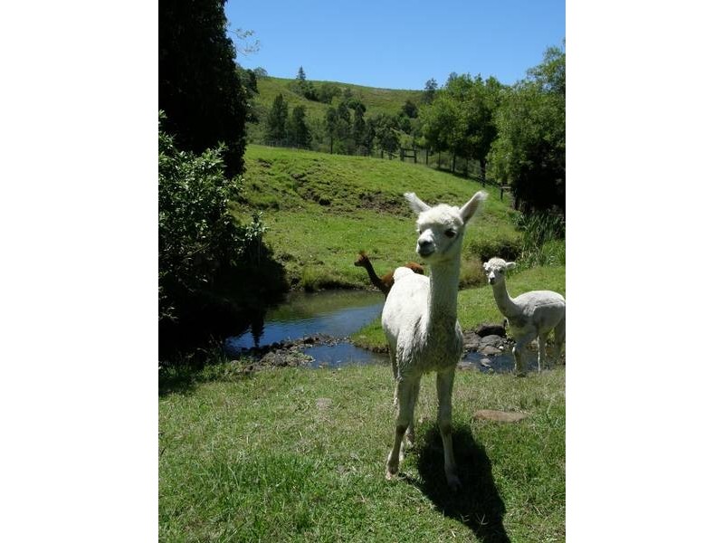 120 Mclennan Road, Georgica NSW 2480