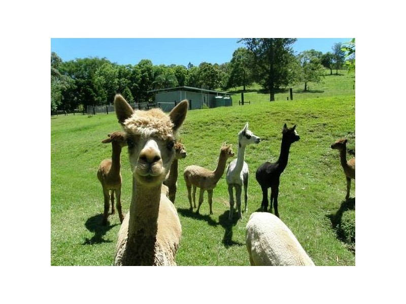 120 Mclennan Road, Georgica NSW 2480