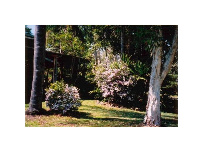 120 Mclennan Road, Georgica NSW 2480