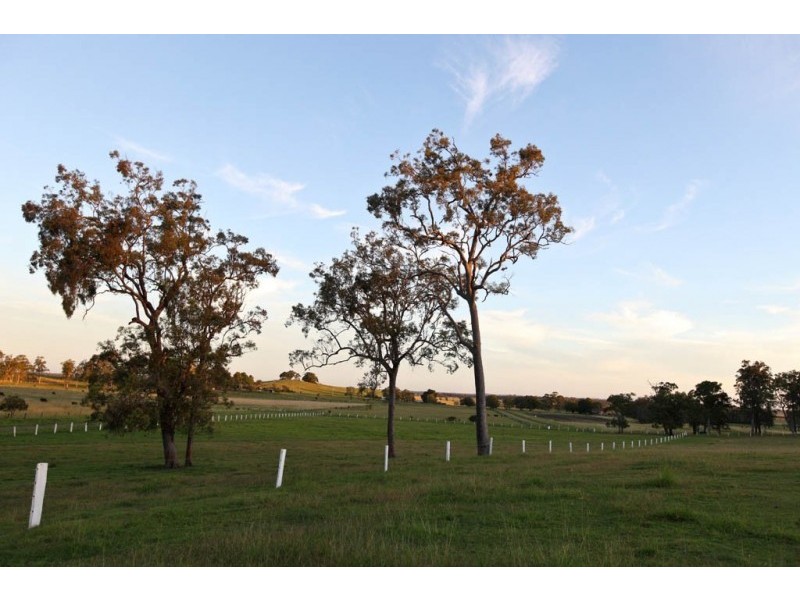 105 Vidlers Road, Spring Grove NSW 2470