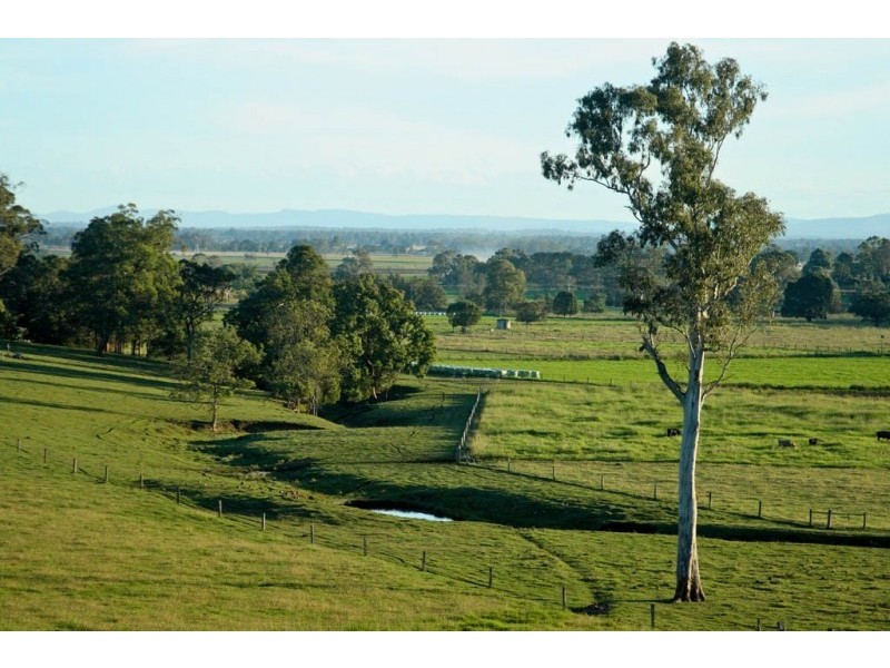 105 Vidlers Road, Spring Grove NSW 2470