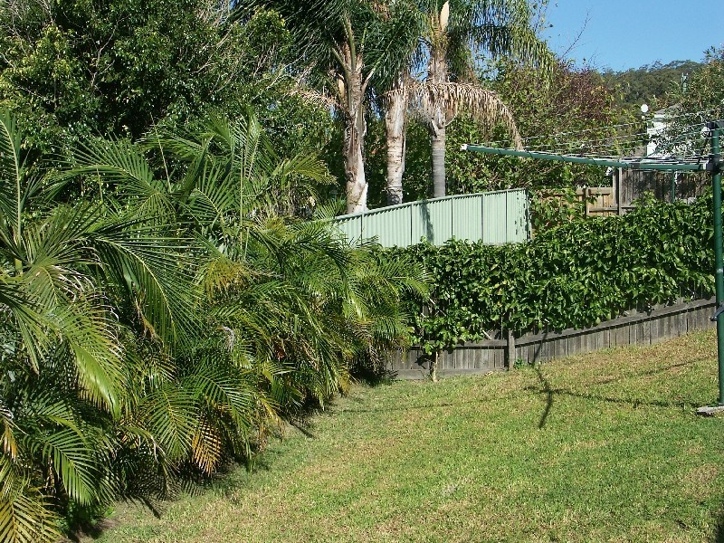 20 Nelmes Close, Toronto NSW 2283