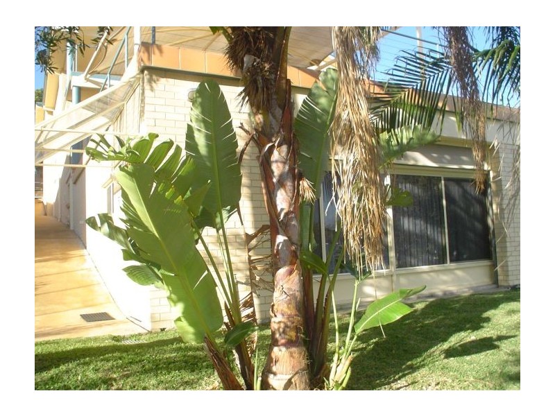 24 Sealand Road, Fishing Point NSW 2283