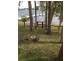 24 Sealand Road, Fishing Point NSW 2283
