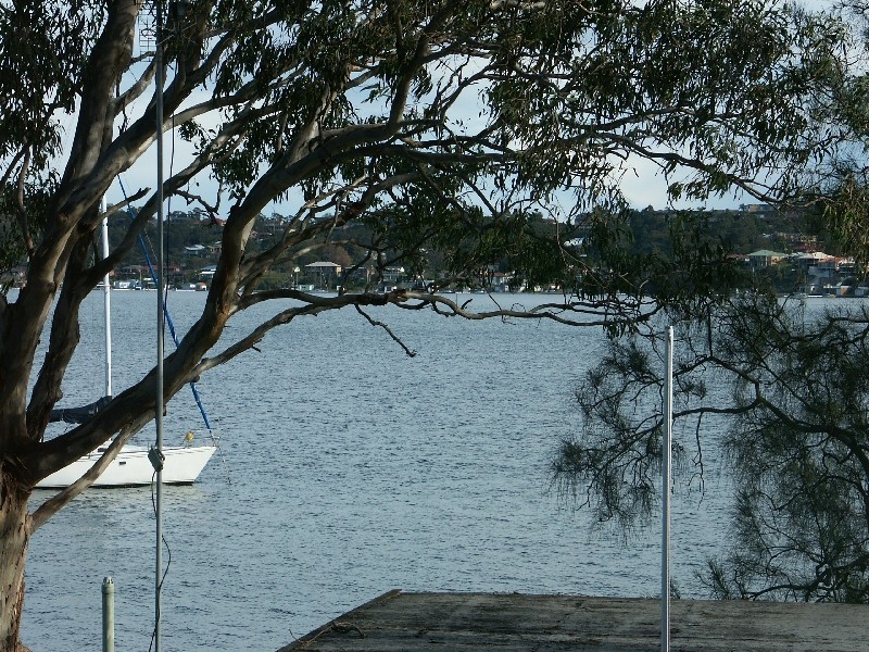 141 Coal Point Road, Coal Point NSW 2283