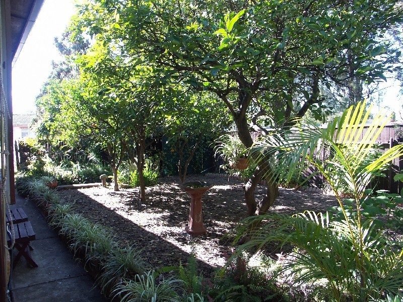 194 Awaba Road, Toronto NSW 2283