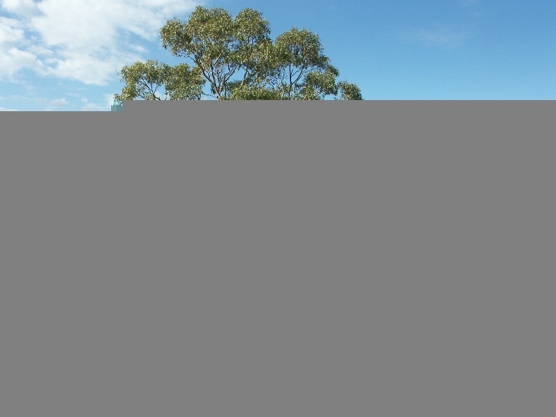 40A Wrexham Circlet, Buttaba NSW 2283