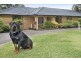 70 Jarrett Street, Kilaben Bay NSW 2283
