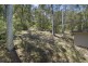 210 Coal Point Road, Coal Point NSW 2283