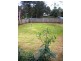 164 Brighton Avenue, Toronto NSW 2283