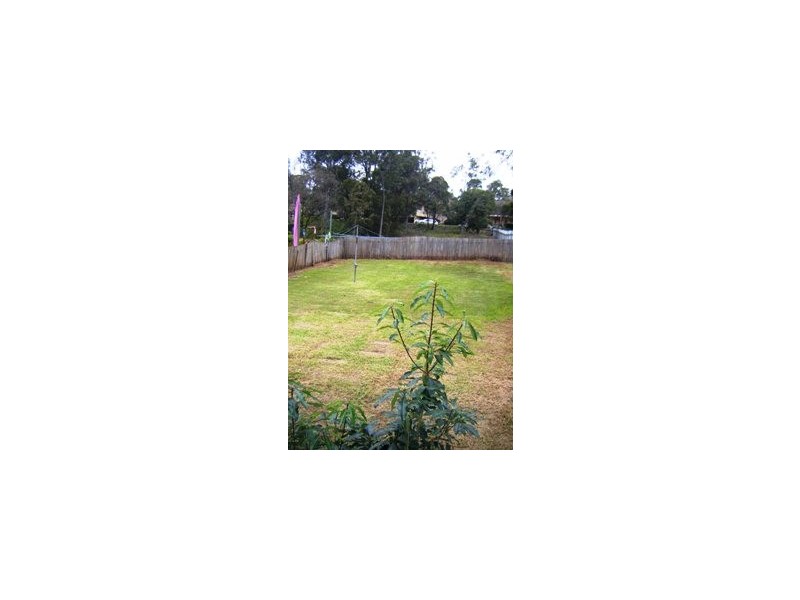 164 Brighton Avenue, Toronto NSW 2283