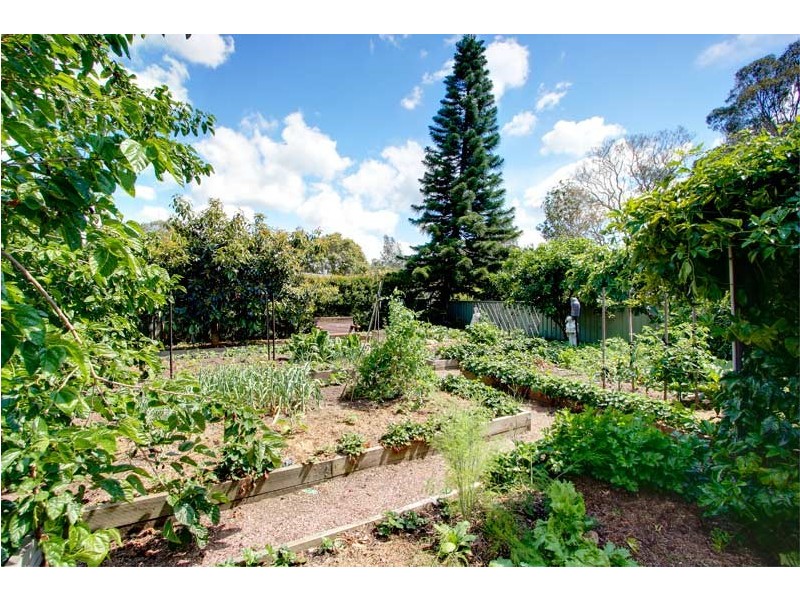 97 Lake Street, Blackalls Park NSW 2283