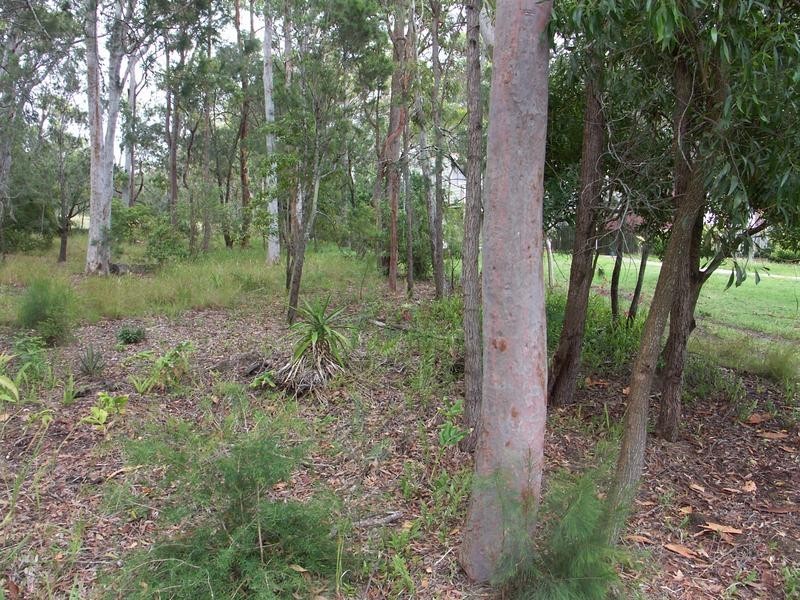 Lot 8, 25 Chifley, Morisset Park NSW 2264