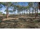 Lot 355, 36 Earswick Crescent, Buttaba NSW 2283