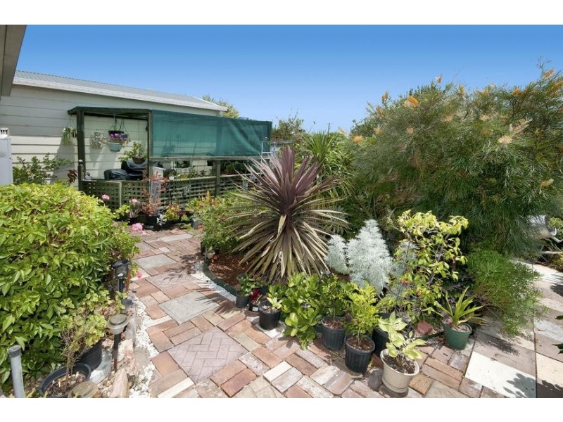 39 Nelmes Close, Toronto NSW 2283