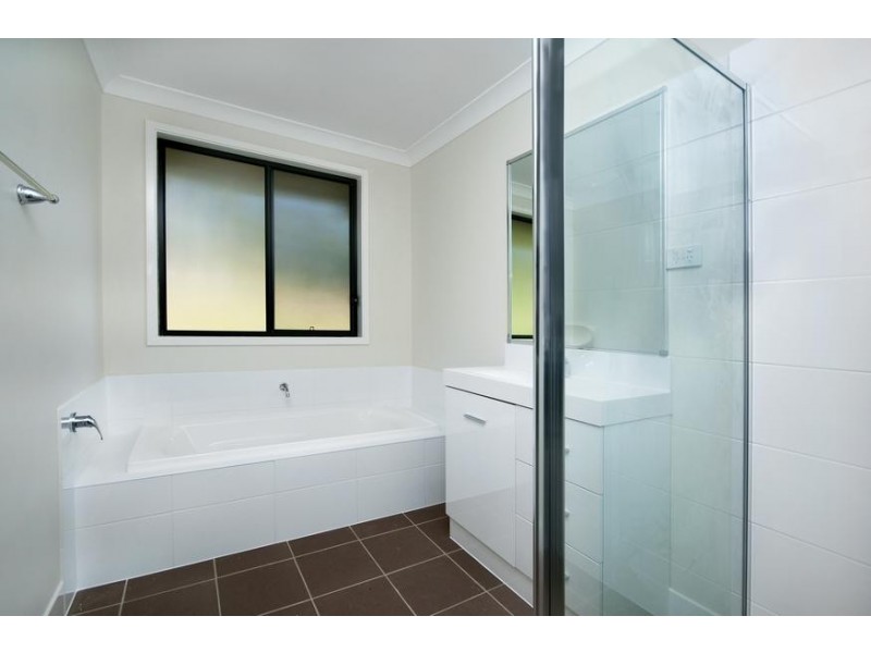 19 Cockatiel Street, Toronto NSW 2283