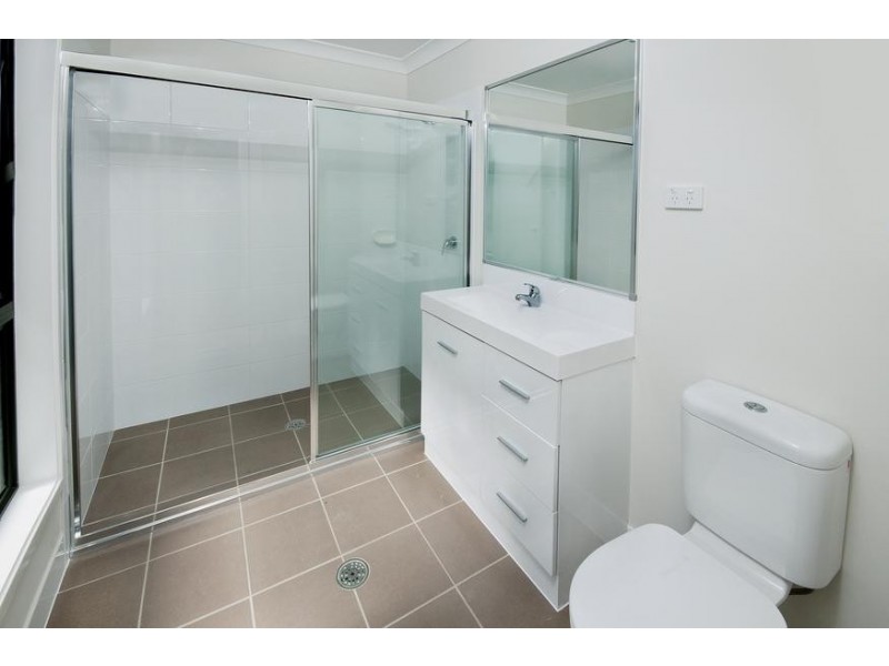 19 Cockatiel Street, Toronto NSW 2283