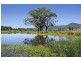 187 Gills Lane, Brunkerville NSW 2323