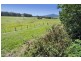 187 Gills Lane, Brunkerville NSW 2323