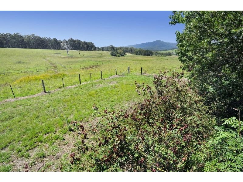 187 Gills Lane, Brunkerville NSW 2323