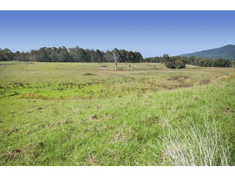 187 Gills Lane, Brunkerville NSW 2323