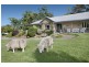 16a Palmer Street, Mulbring NSW 2323