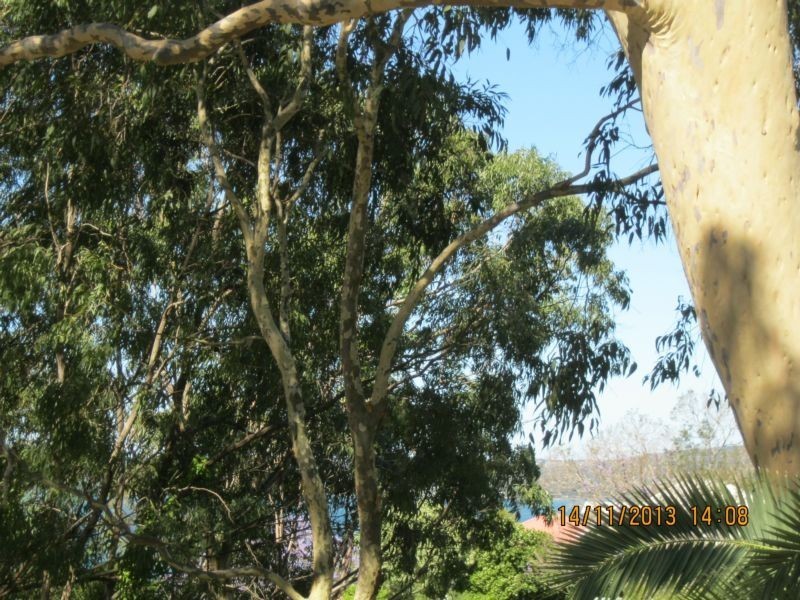 3/231 Excelsior Parade, Toronto NSW 2283