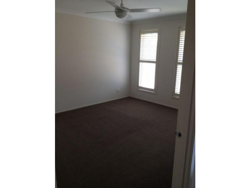 11 Cockatiel Street, Toronto NSW 2283