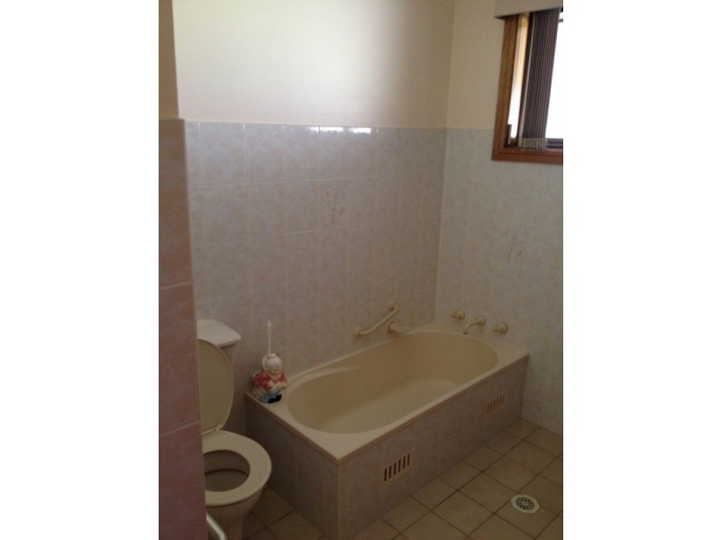 236 Awaba Road, Toronto NSW 2283