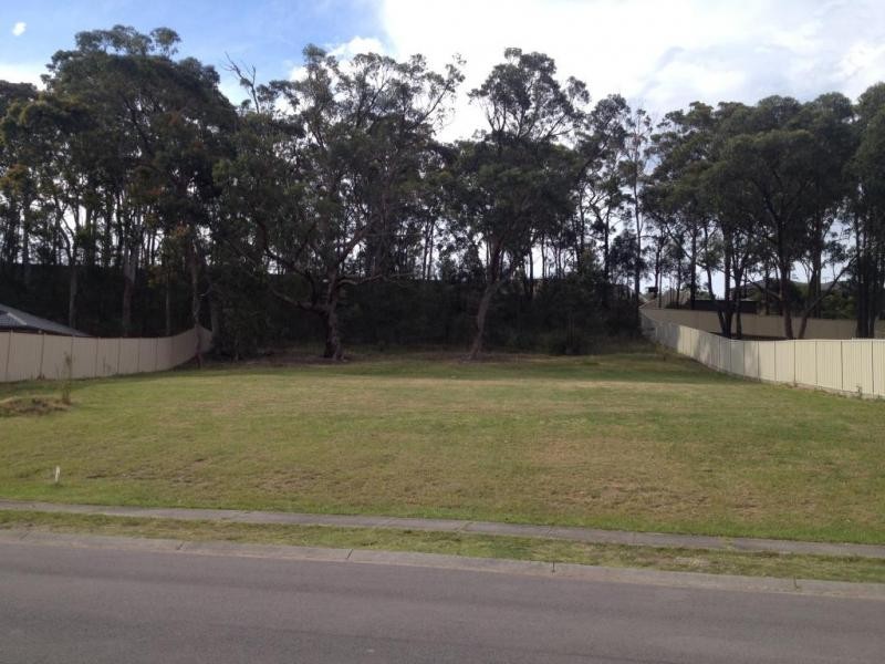 10 Pheasant Street, Toronto NSW 2283