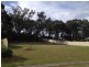 10 Pheasant Street, Toronto NSW 2283