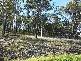 Lot 361 Pheasant Street, Toronto NSW 2283