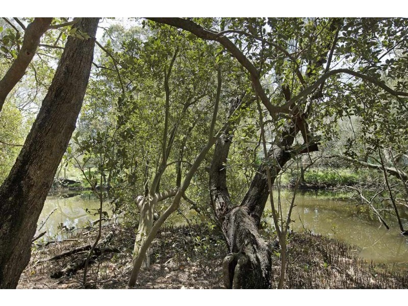 82 Fennell Crescent, Blackalls Park NSW 2283