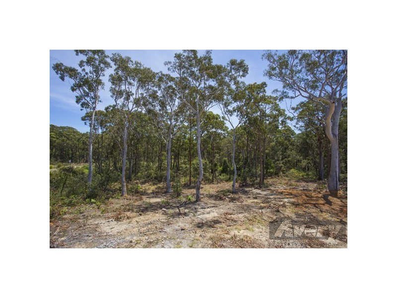 40 Earswick Crescent, Buttaba NSW 2283