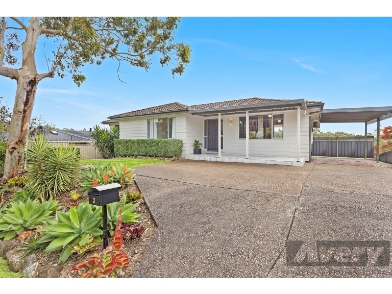 3 Advance Drive, Woodrising NSW 2284