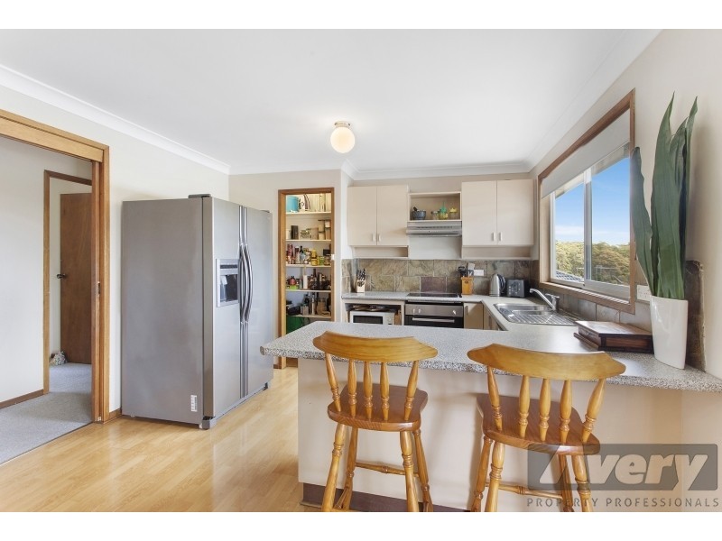 3 Advance Drive, Woodrising NSW 2284