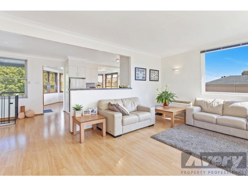 17 Amelia Street, Carey Bay NSW 2283