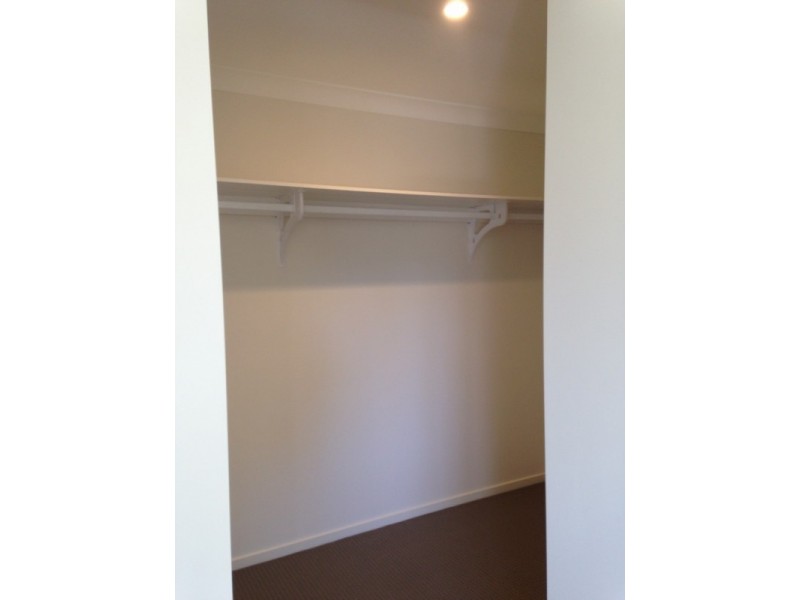 8 Jonquil Close, Toronto NSW 2283