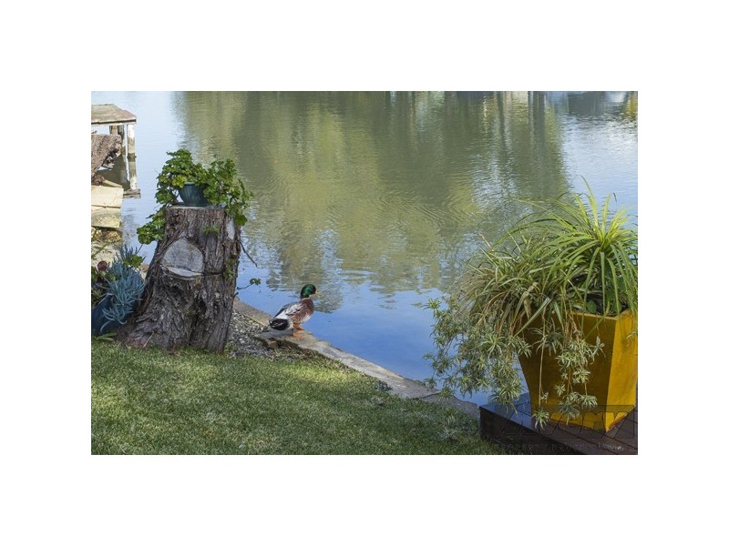 44 Macquarie Road, Fennell Bay NSW 2283