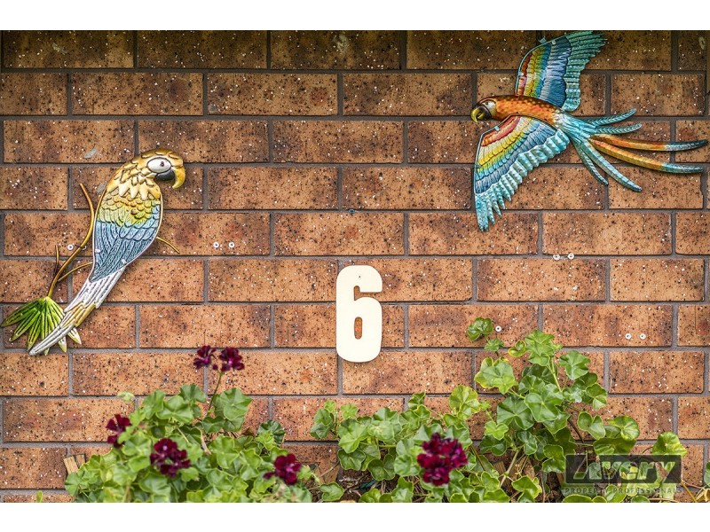 6 Vim Close, Woodrising NSW 2284