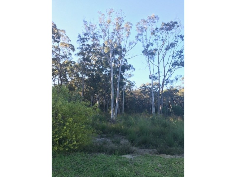 12 Fred Avery Drive, Buttaba NSW 2283