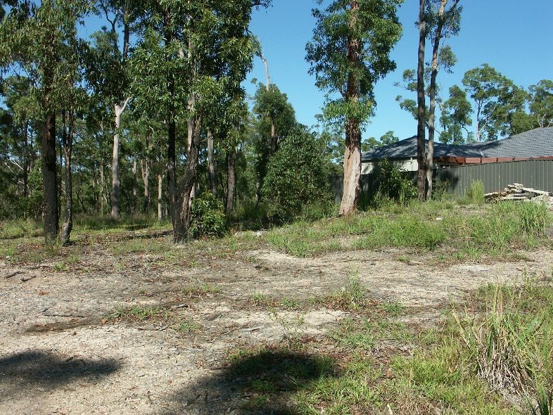 Lot 14,  Cockatiel Street, Toronto NSW 2283