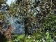 102 Beach Road, Wangi Wangi NSW 2267