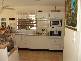 Brighton Avenue, Toronto NSW 2283